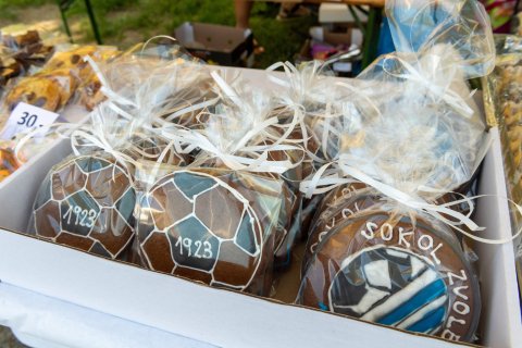 100 let Sokola Zvole — fotografie 6