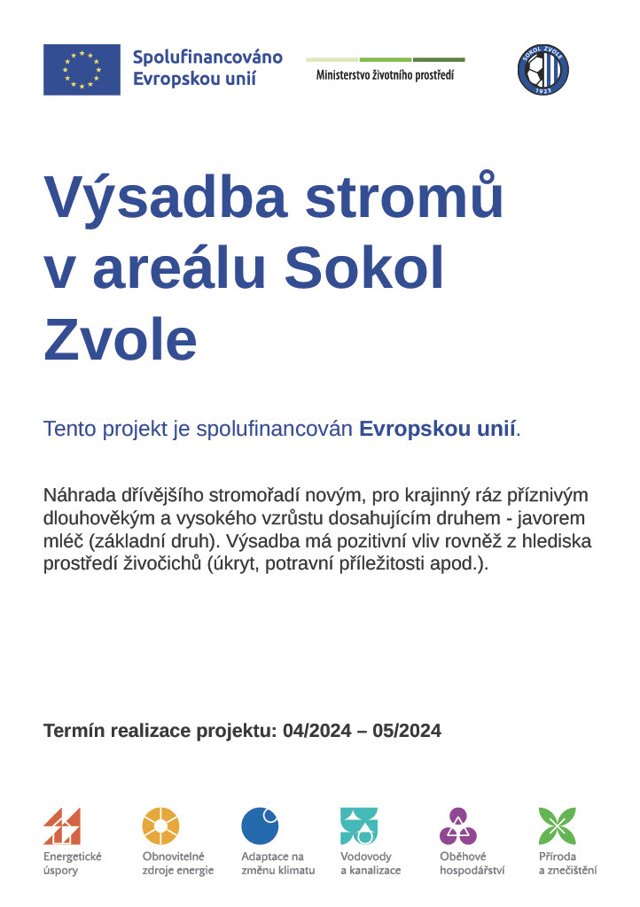 Nově vysazené javory podél hřiště v areálu Sokol Zvole