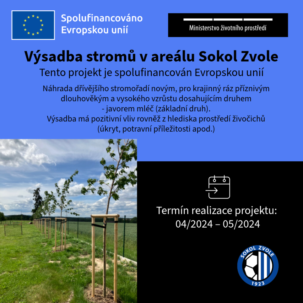 Agentura ochrany přírody a krajiny České republiky a Evropských fondů pomáhala financovat výsadbu stromů v Sokolu Zvole